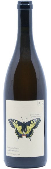 Schwalbenschwanz Goldmuskateller