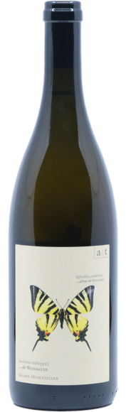 Segelfalter Gelber Muskateller