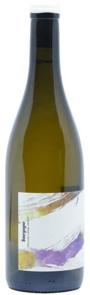 Bourgogne Blanc