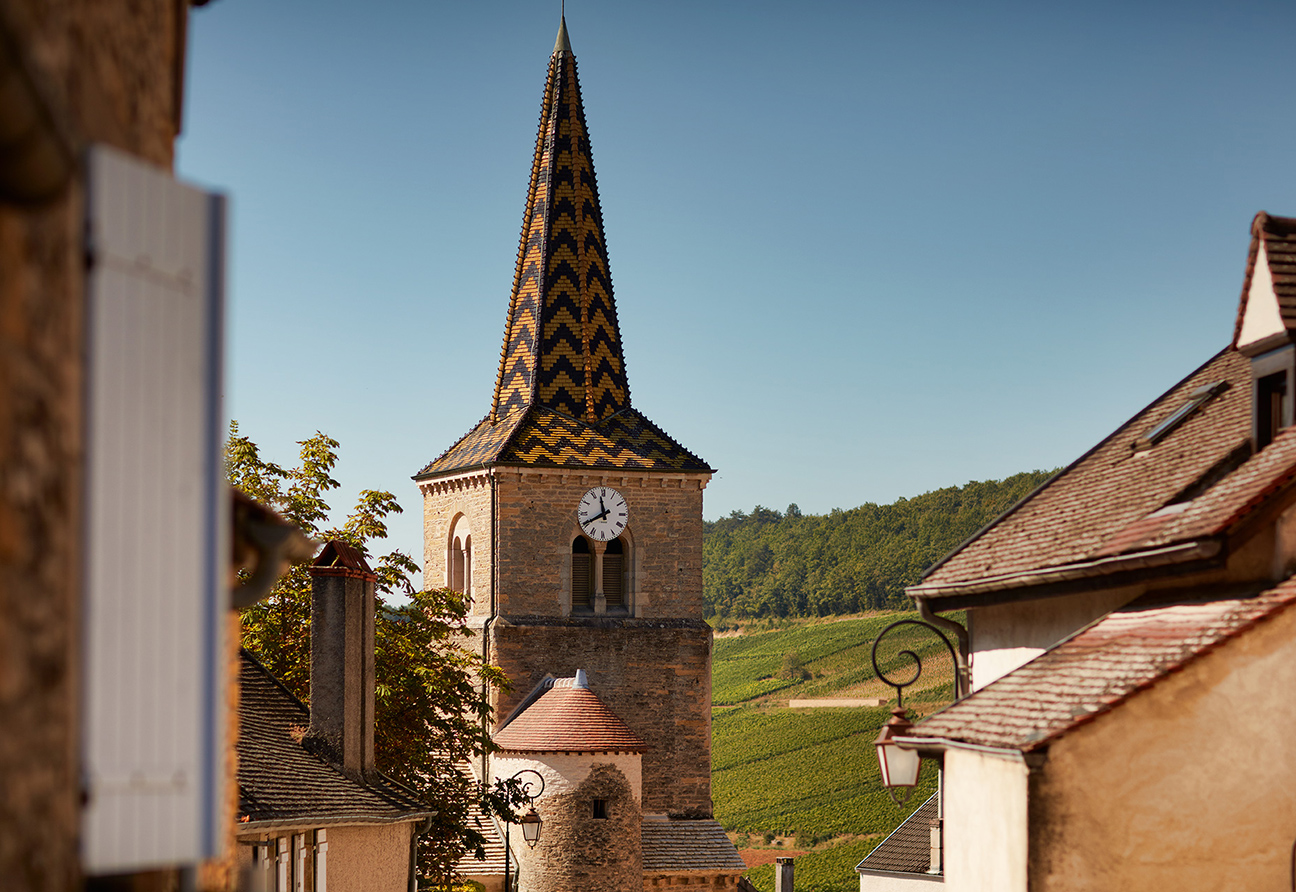 Domaine Bonneau du Martray