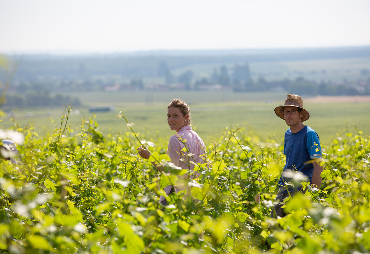 Domaine Jean Grivot	