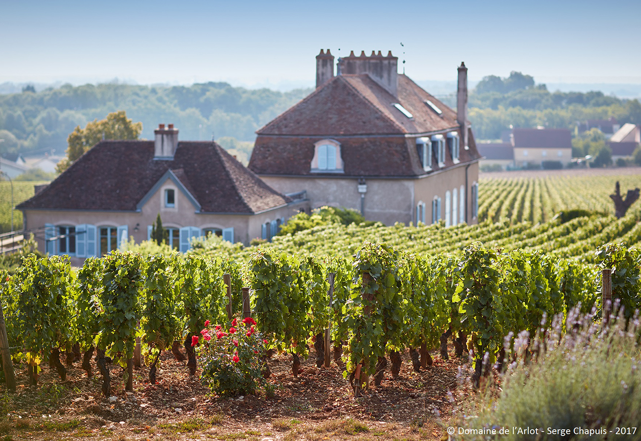 Domaine de l`Arlot