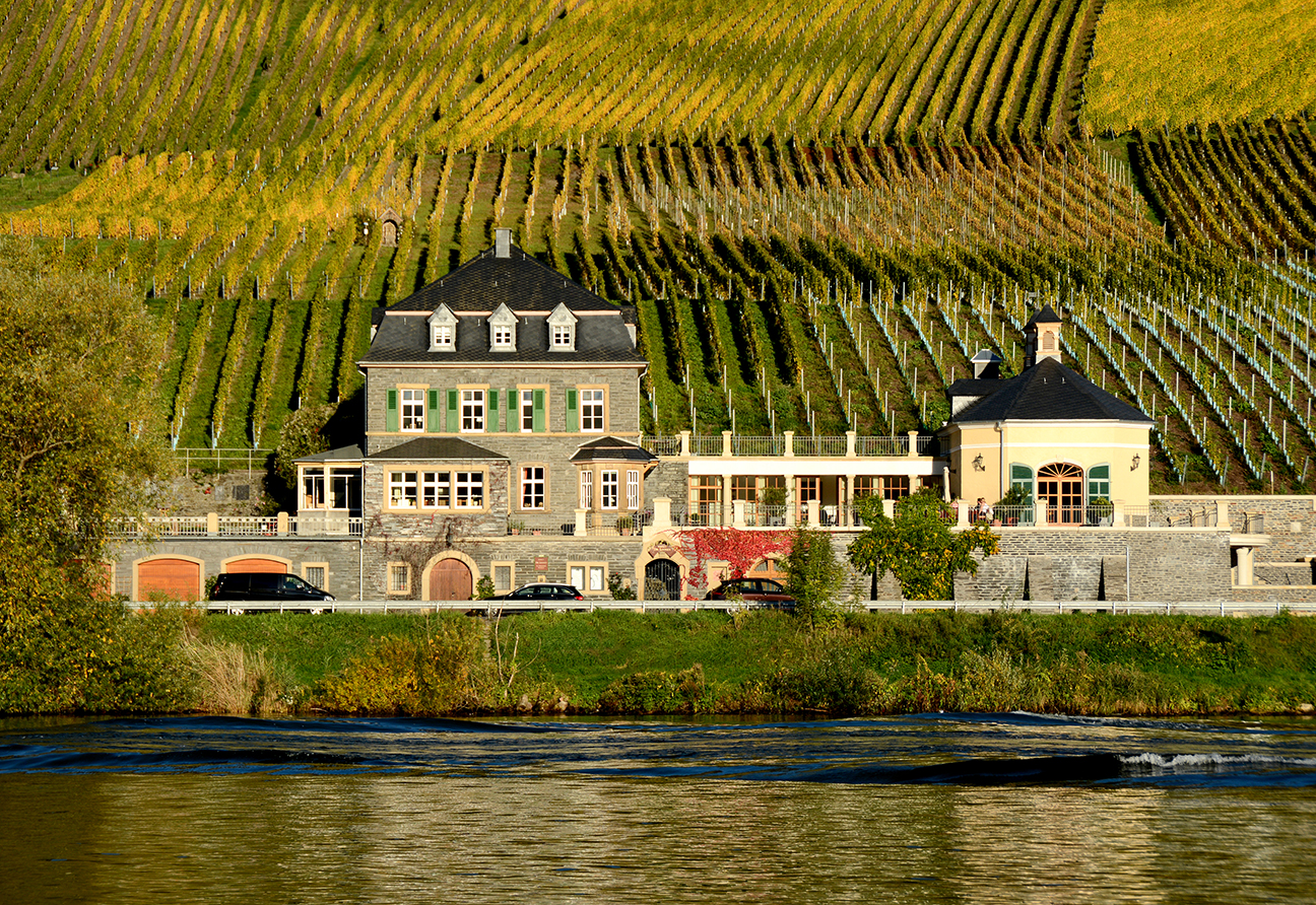 Weingut Dr. Loosen