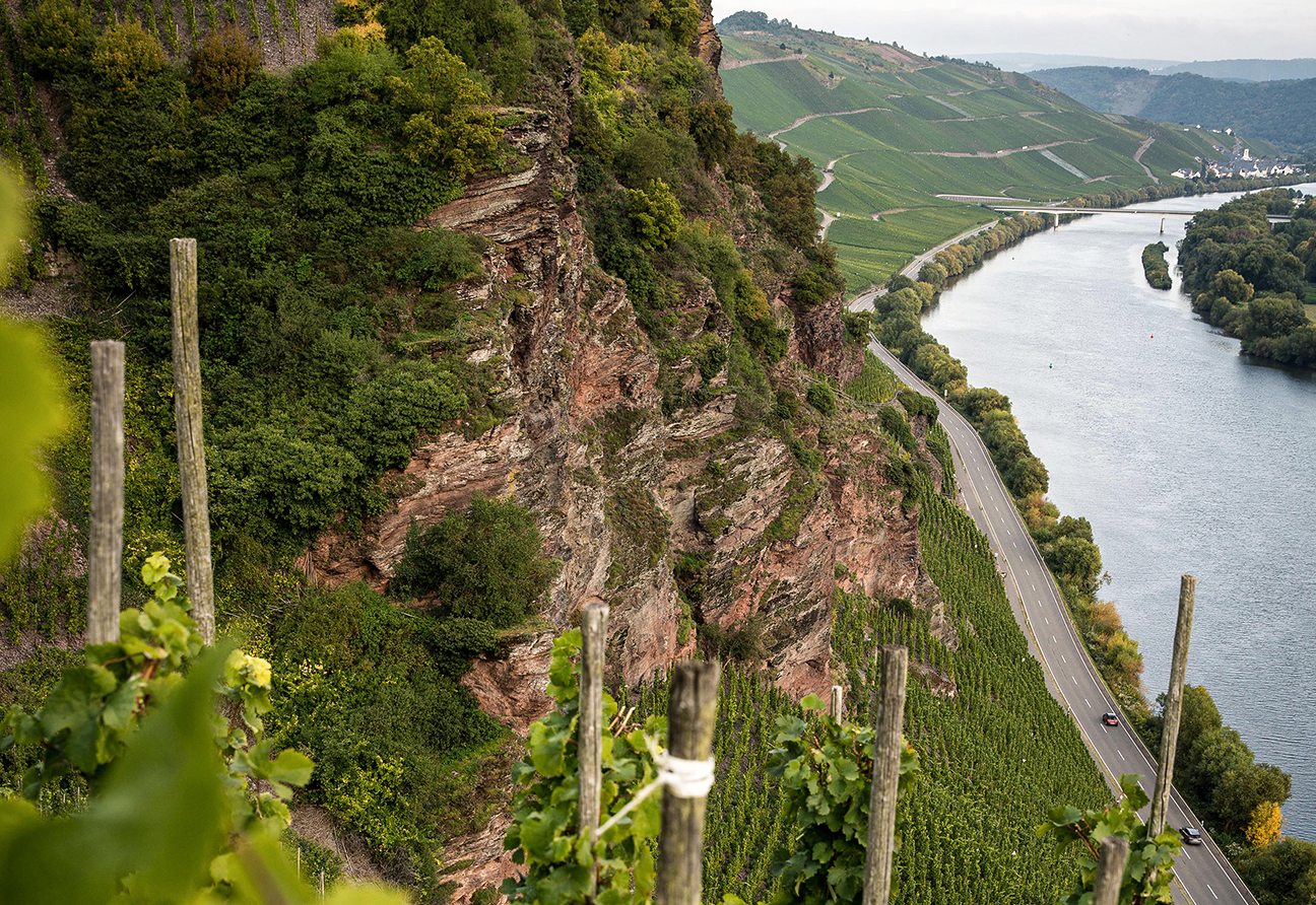 Weingut Dr. Loosen