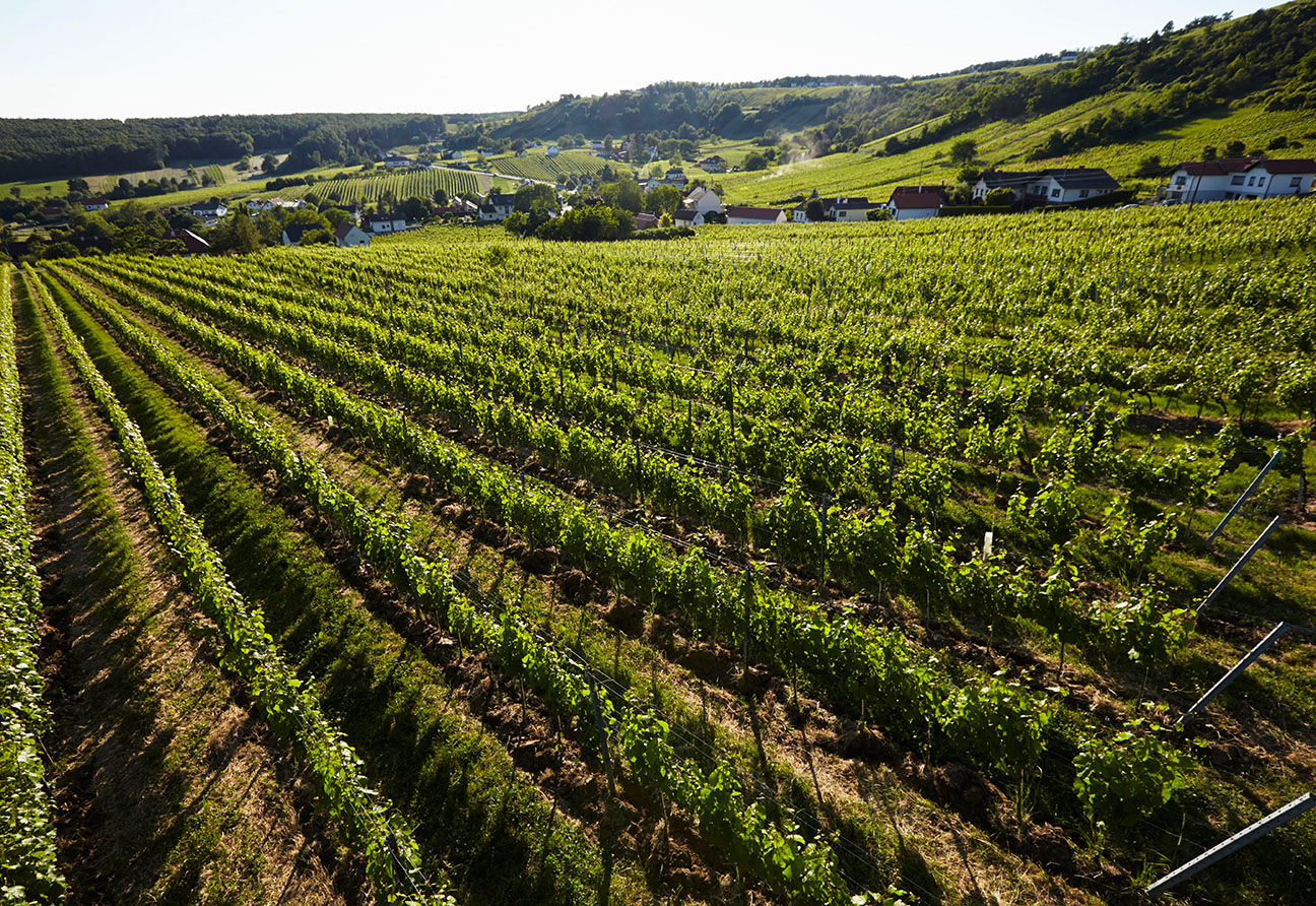 Weingut Krutzler