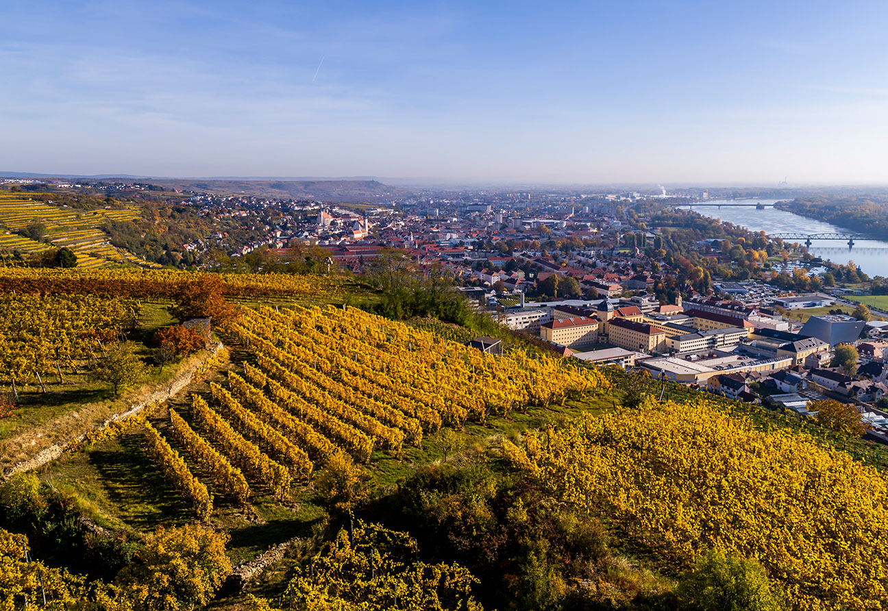 Weingut der Stadt Krems