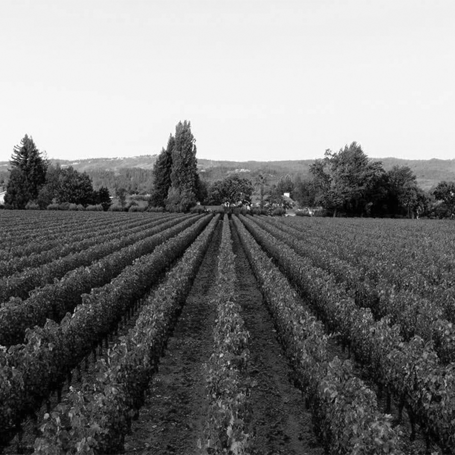 Colgin Cellars