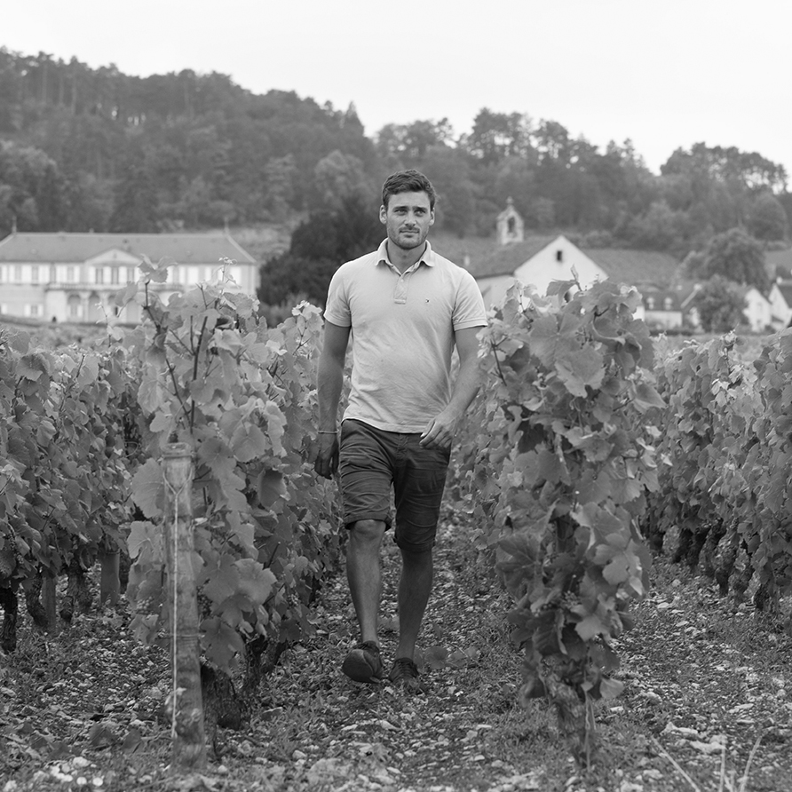 Domaine Y. Clerget